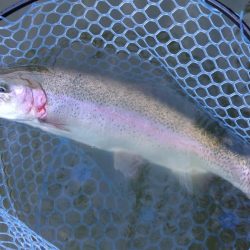 備えあれば患いなし ～岡崎トラウトポンド～